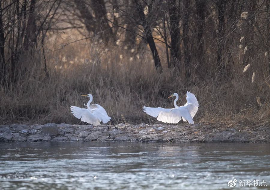 點(diǎn)擊進(jìn)入下一頁