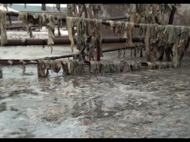 央視調(diào)查：部分企業(yè)用工業(yè)明膠加工藥用膠囊