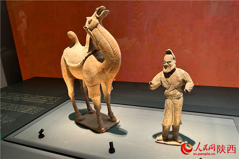 四方館展覽的出土文物。人民網(wǎng)記者 李志強(qiáng)攝