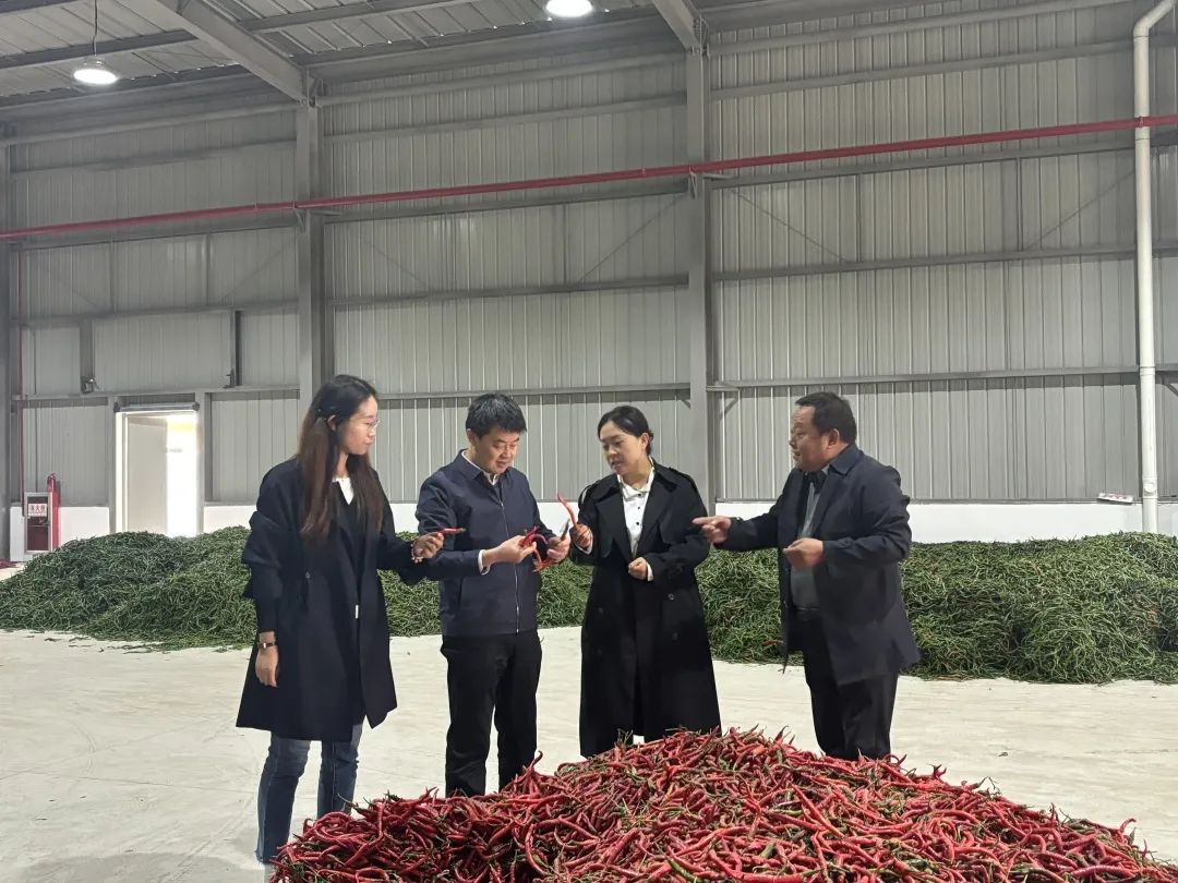 IMG_8460.jpeg 圖片