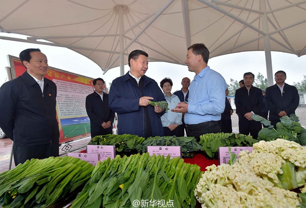 習(xí)近平:緬懷先烈、不忘初心,走好新的長(zhǎng)征路