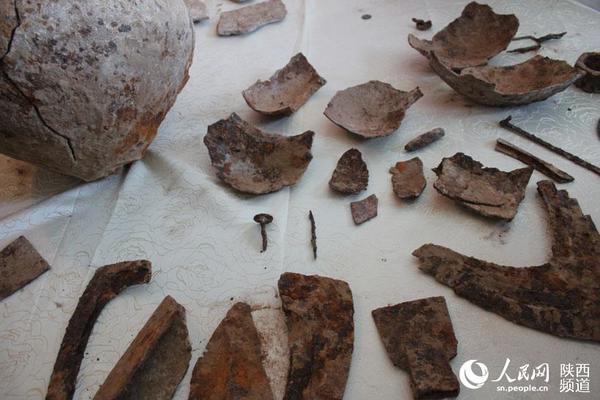 長(zhǎng)峁墕村敞陽灣遺址內(nèi)出土的部分農(nóng)具和生活用具等。高崗/攝