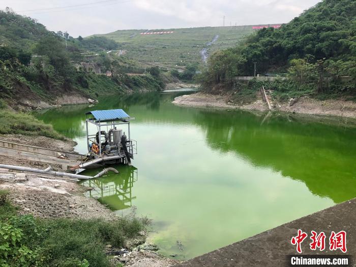 9月21日，中化涪陵化工生態(tài)環(huán)境修復(fù)基地的滲濾液收集池，深綠色是水體富營養(yǎng)化的表現(xiàn)。　李純 攝