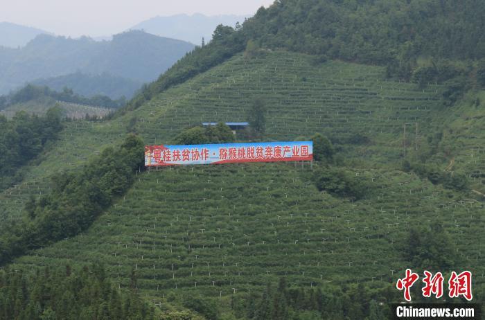 點擊進入下一頁