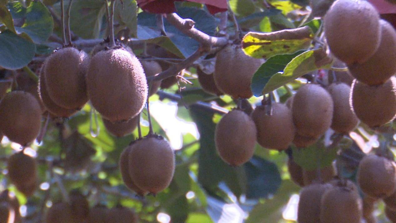 微信圖片_20240901205459 微信圖片_20240901205459