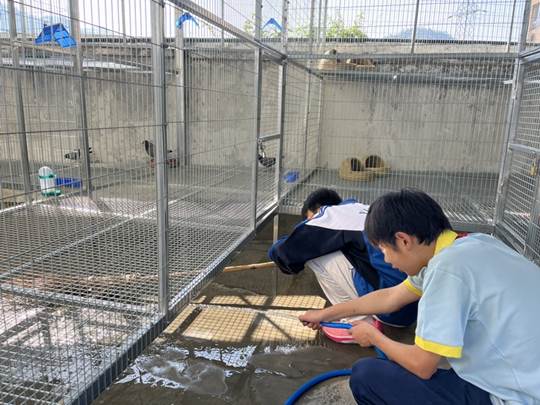 圖示, 示意圖

中度可信度描述已自動生成:ver1