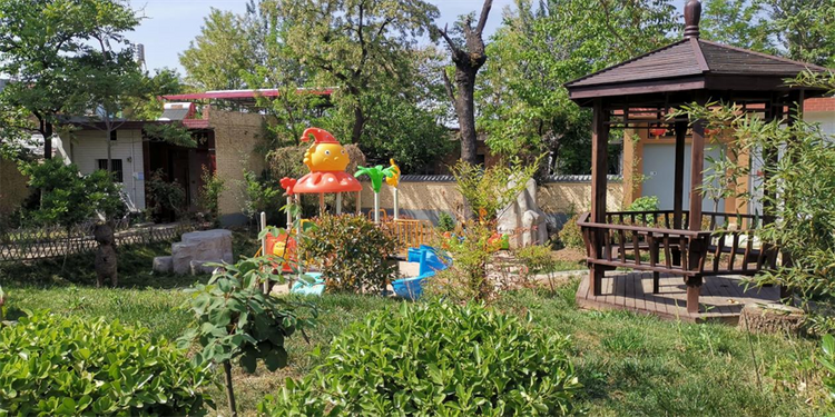 【致敬長安最美基層工作者】西安市長安區(qū)四皓村黨支部書記駱小愛：帶領“婆家人”走在鄉(xiāng)村振興的康莊大道上_fororder_圖片2