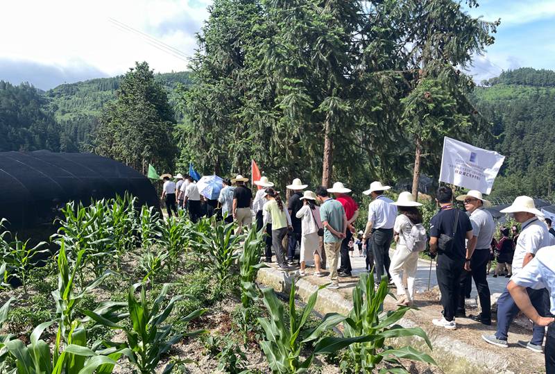 調(diào)研現(xiàn)場。郭鑫燚攝