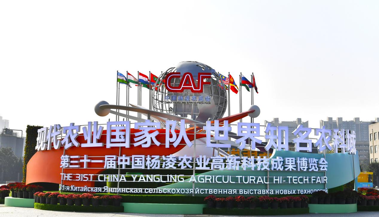 楊凌農(nóng)高會:國際農(nóng)業(yè)合作的“加速器”