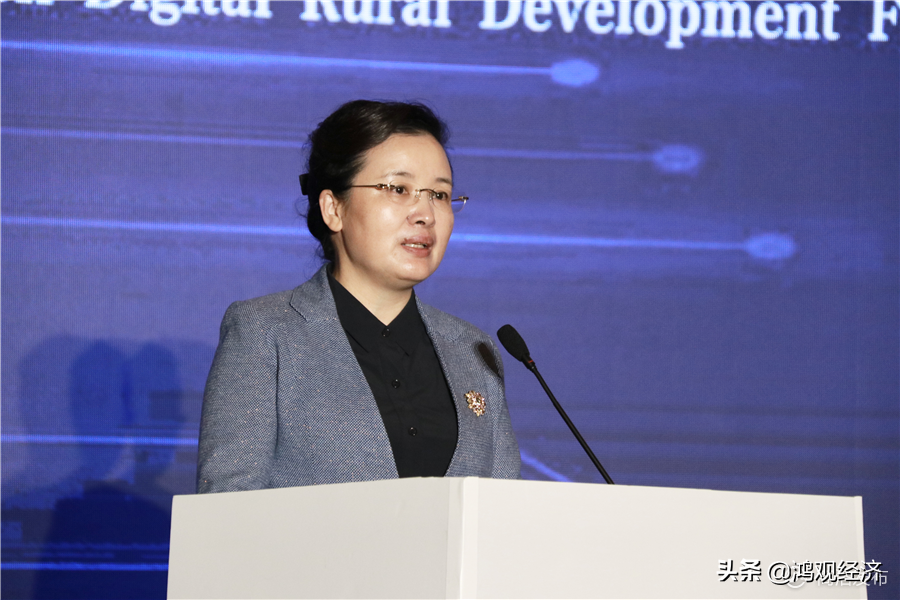 2020西部數(shù)字鄉(xiāng)村發(fā)展論壇在柞水舉行