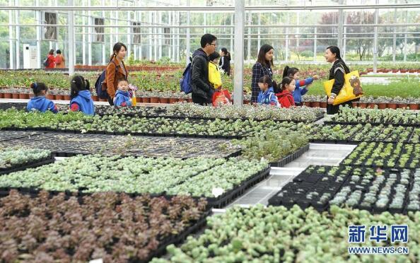 “開心農(nóng)場”里體驗現(xiàn)代農(nóng)業(yè)