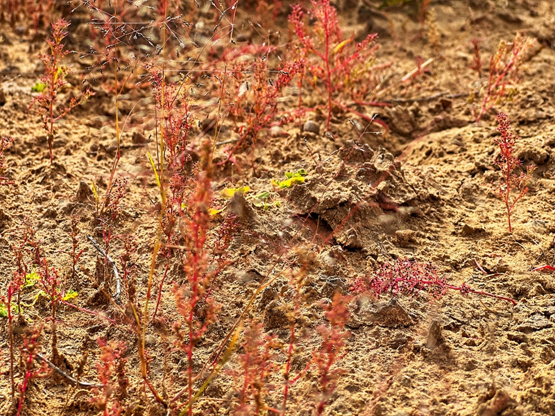 SGilGll8mPlLgzCq.jpg SGilGll8mPlLgzCq.jpg