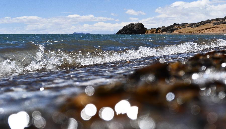 走進(jìn)西藏羌塘自然保護(hù)區(qū)