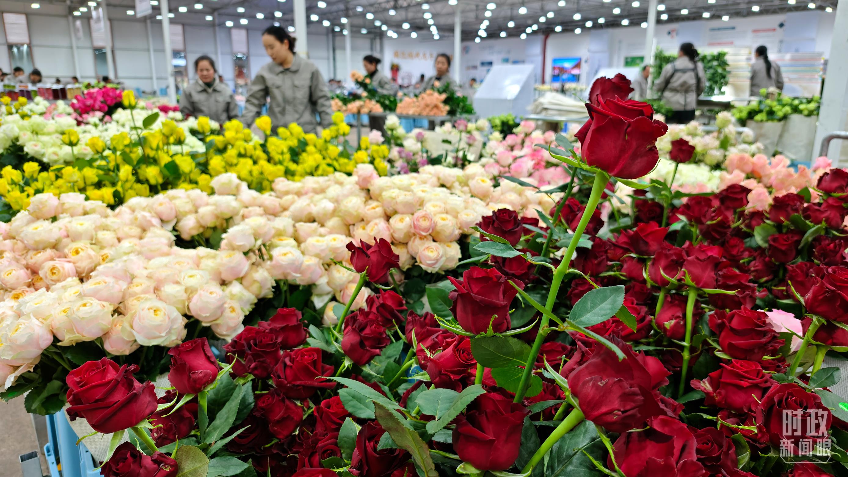 習(xí)近平赴云南麗江考察,關(guān)注這座名城的“古與今” 習(xí)近平赴云南麗江考察,關(guān)注這座名城的“古與今”