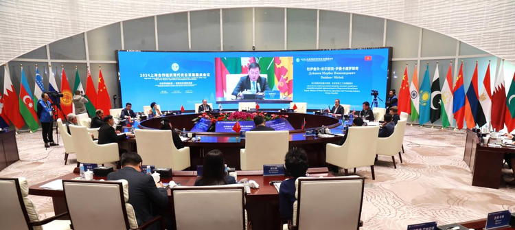 楊凌農(nóng)高會:國際農(nóng)業(yè)合作的“加速器”