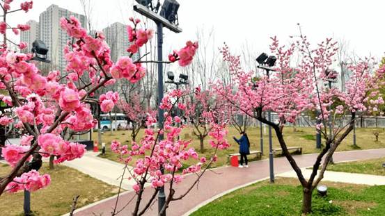 703d99a335c81e8c6447b7b4ff13916