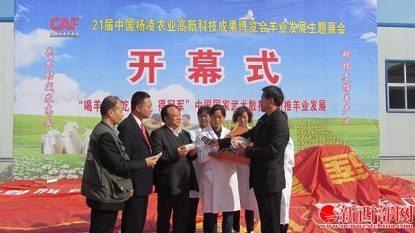 IMG_0318_看圖??jpg