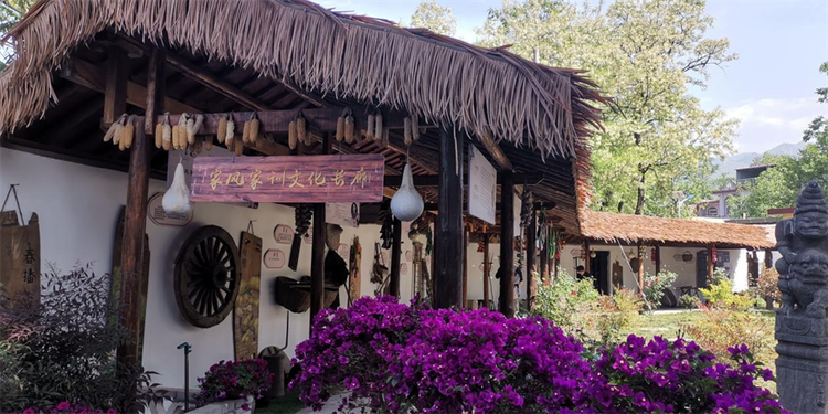 【致敬長安最美基層工作者】西安市長安區(qū)四皓村黨支部書記駱小愛：帶領“婆家人”走在鄉(xiāng)村振興的康莊大道上_fororder_圖片3