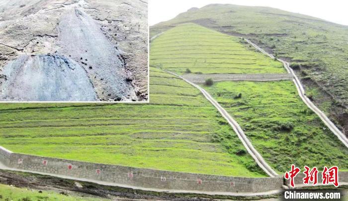 若爾蓋草原植被恢復(fù)治理對(duì)比圖?！∷拇ㄊ∩鷳B(tài)環(huán)境廳 供圖