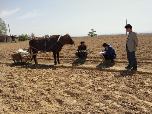 downLoad-20180612035149