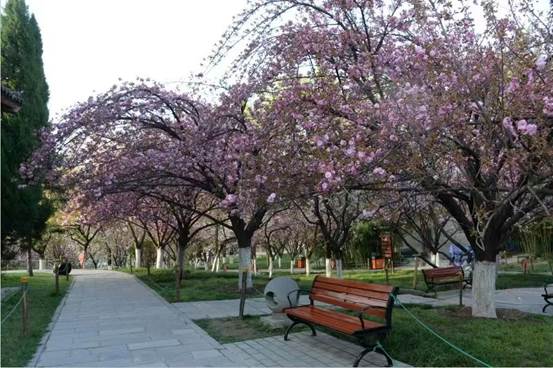 ad009a825d6424ae0eaf120e7a6bd74