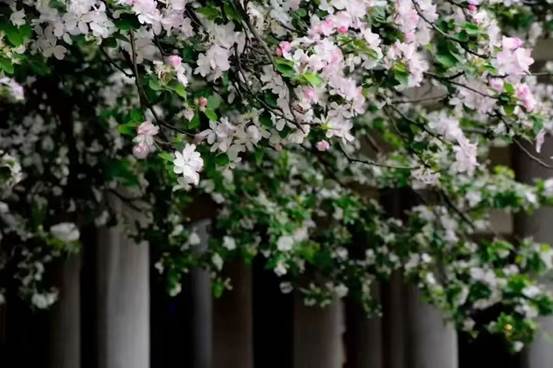 cf5a2b7e9f4d469aa1a63e957ce22f6