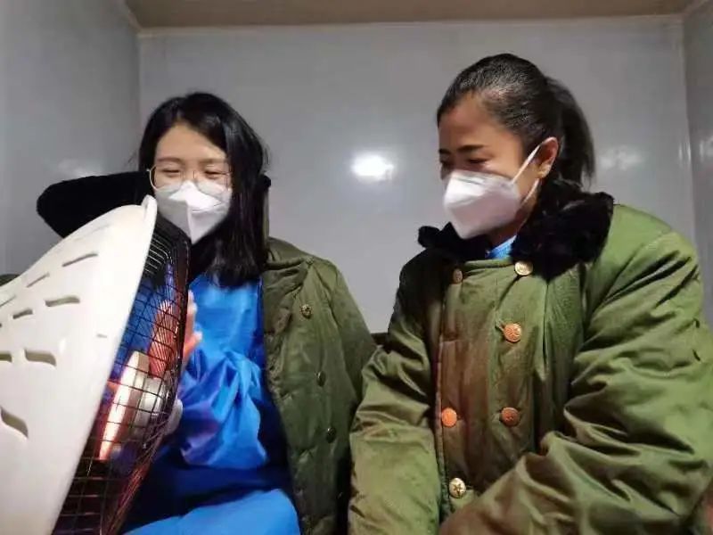 5e0ead22463fb3869597a110b78a0da.jpg 圖片