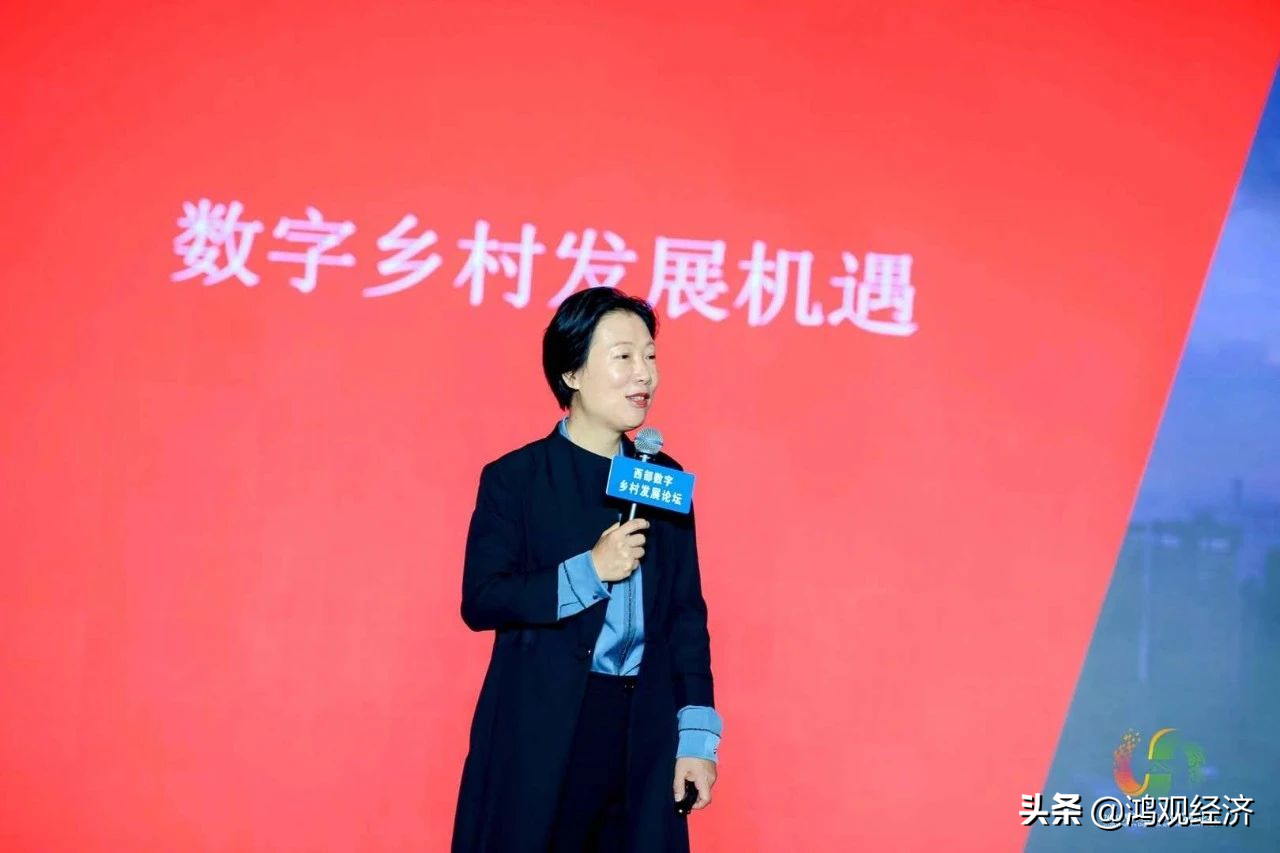 2020西部數(shù)字鄉(xiāng)村發(fā)展論壇在柞水舉行