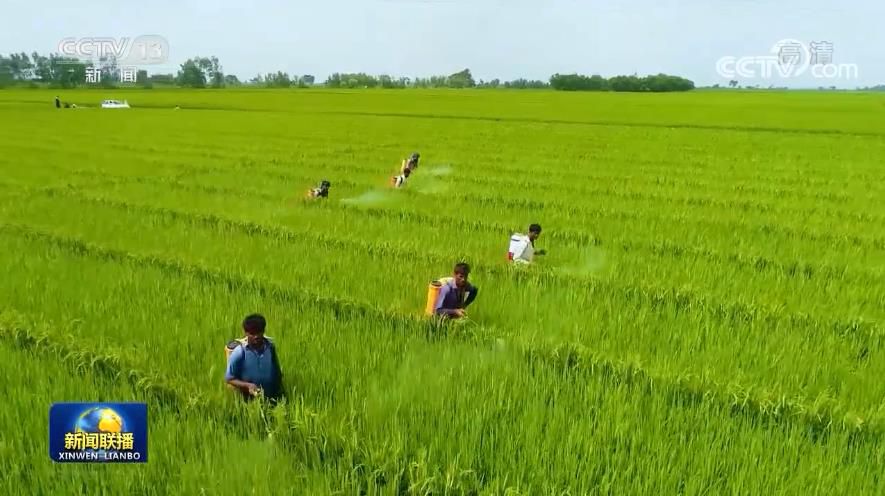 點(diǎn)擊進(jìn)入下一頁(yè) 點(diǎn)擊進(jìn)入下一頁(yè)