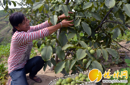 QQ截圖20180903201030