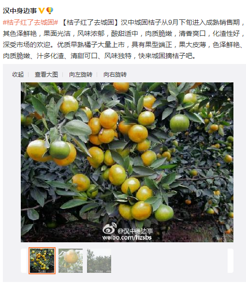 搜狗截圖15??9??9??838_2.png