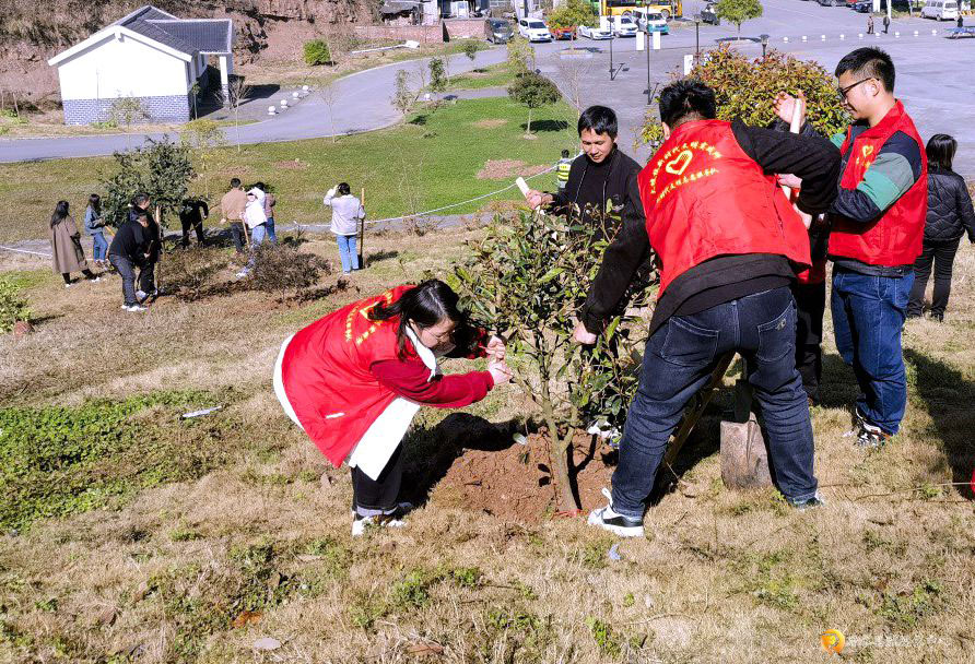 2月18日,習(xí)水縣植樹(shù)活動(dòng)。