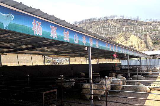 圖示, 示意圖

中度可信度描述已自動(dòng)生成:ver1