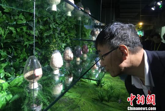 甘肅農(nóng)業(yè)大學(xué)70載輸送12萬余人才助力農(nóng)業(yè)發(fā)展（圖）