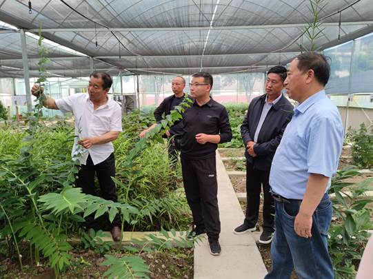 圖示, 示意圖

中度可信度描述已自動生成:ver1