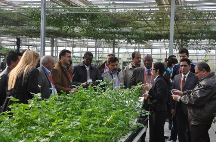 從桑麻翳野到春風(fēng)幾度:現(xiàn)代農(nóng)業(yè)播綠“一帶一路”