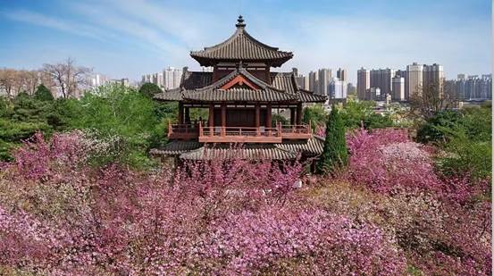 6e9675d8c0ea1c12d02154cf7dc0e06