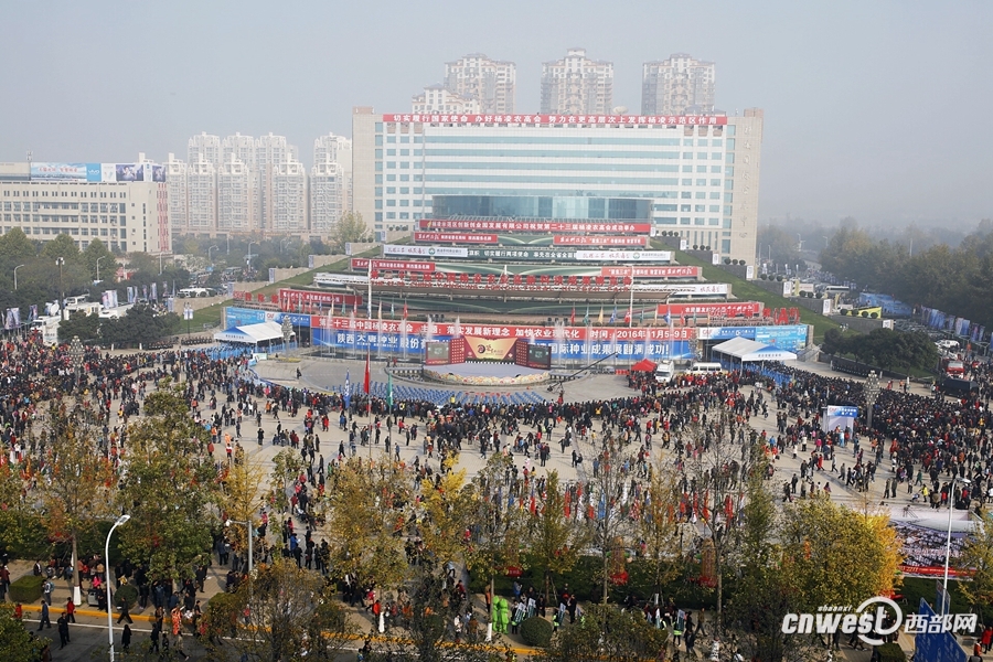 組圖:逛會忙!農(nóng)高會首日稀奇農(nóng)特產(chǎn)品引人關(guān)注