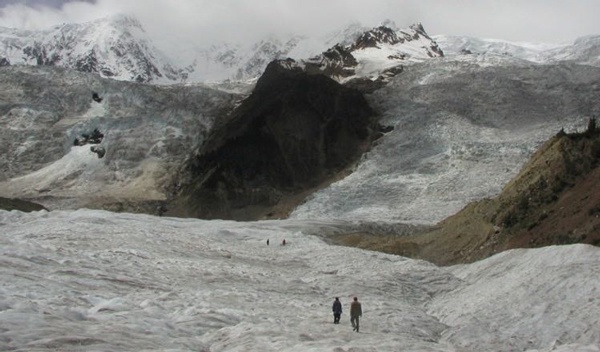 “樹語者”朱海峰：冰川密語，藏在樹木年輪里