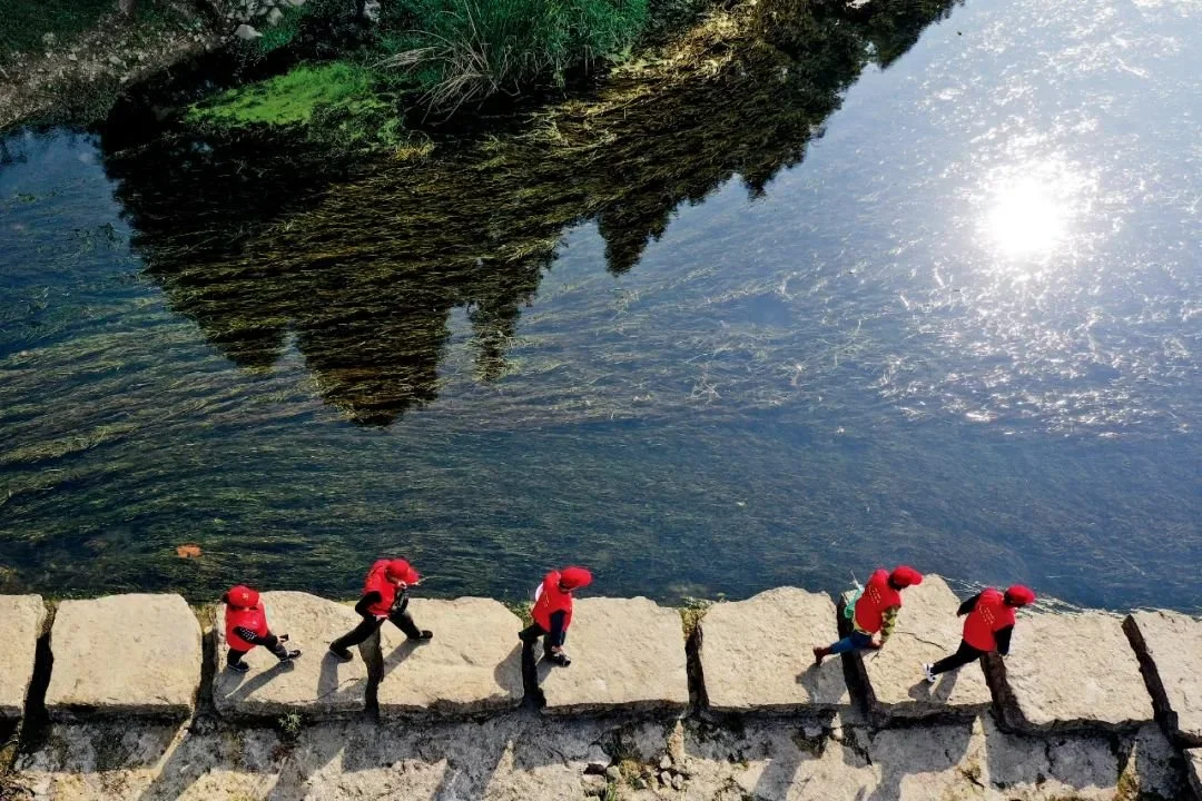 對(duì)生態(tài)環(huán)境的治理越來越受到重視。圖/新華