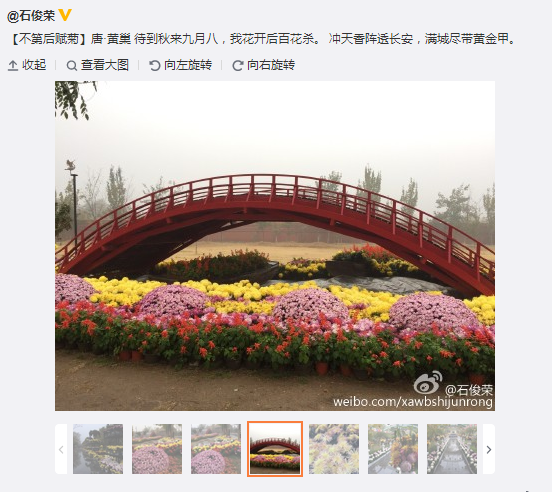 搜狗截圖15??1??8??405_6.png