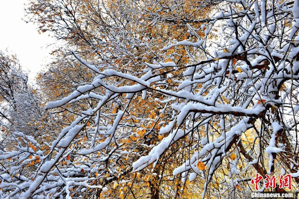 屏幕快照 2014-10-13 上午09.21.44.png