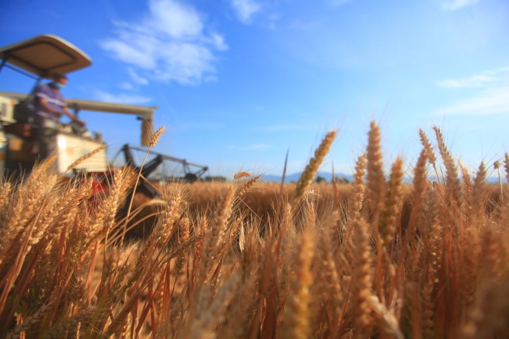 點(diǎn)擊進(jìn)入下一頁