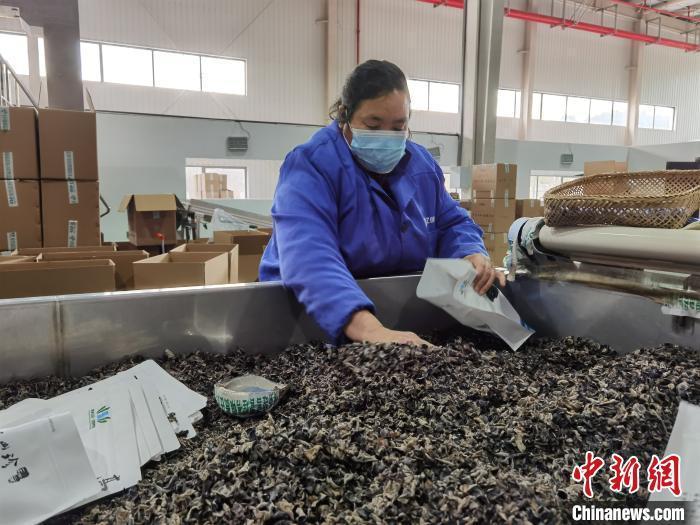 點(diǎn)擊進(jìn)入下一頁