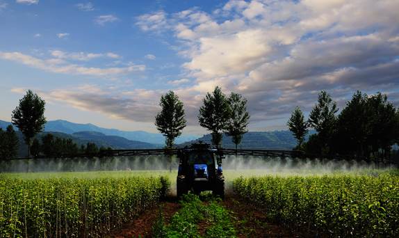 噴灑--攝影；石永欣。電話13649176699