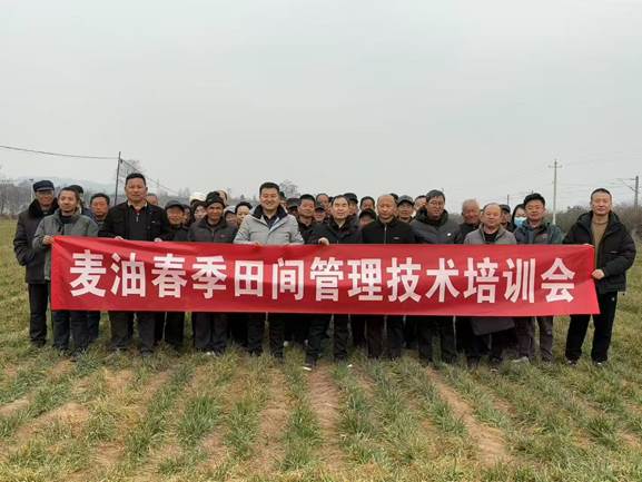 圖示, 示意圖

中度可信度描述已自動生成:ver1