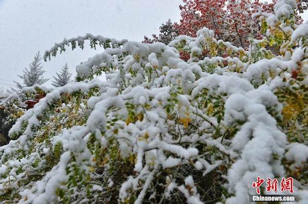 屏幕快照 2014-10-13 上午09.21.28.png