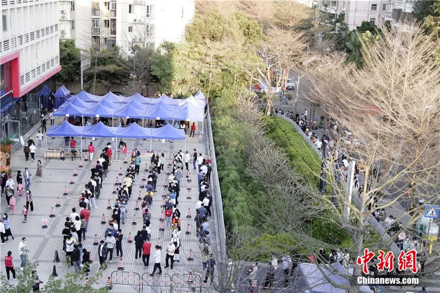 圖為深圳市民有序排隊做免費核酸檢測。<a target='_blank' href='/'>中新社</a>記者 陳文 攝