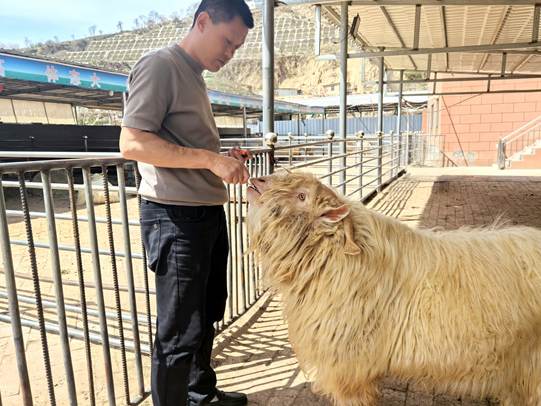 圖示, 示意圖

中度可信度描述已自動(dòng)生成:ver1