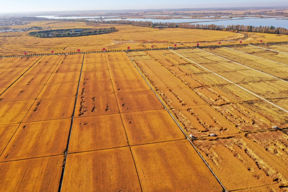 點(diǎn)擊進(jìn)入下一頁